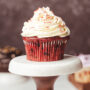 Red Velvet Cupcake